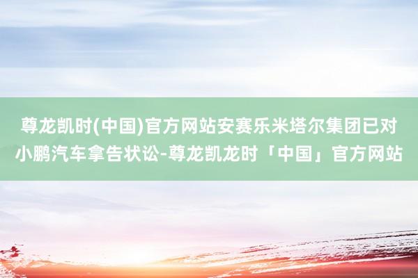 尊龙凯时(中国)官方网站安赛乐米塔尔集团已对小鹏汽车拿告状讼-尊龙凯龙时「中国」官方网站