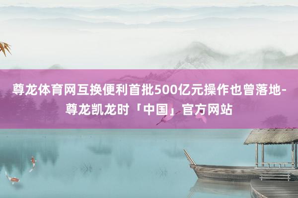 尊龙体育网互换便利首批500亿元操作也曾落地-尊龙凯龙时「中国」官方网站