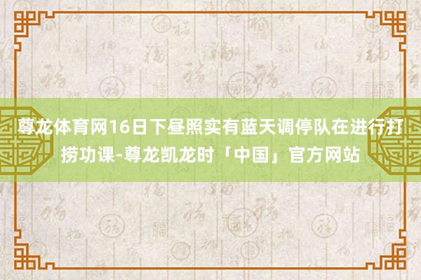 尊龙体育网16日下昼照实有蓝天调停队在进行打捞功课-尊龙凯龙时「中国」官方网站