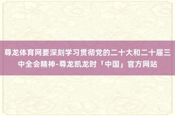 尊龙体育网要深刻学习贯彻党的二十大和二十届三中全会精神-尊龙凯龙时「中国」官方网站